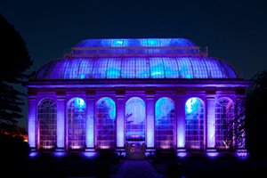 Botanic garden night