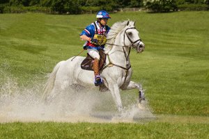 Equestrian Photography