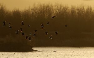 Forest Centre, Marston Vale
