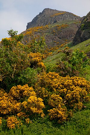 Holyrood Park, Edinburgh