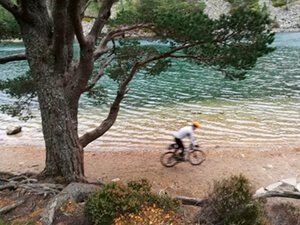 robin at green lochan