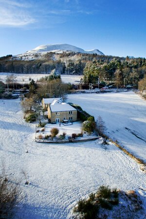 the Tryst in the snow